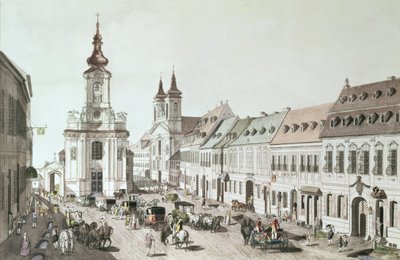 The Parish Church and Cemetery of Fauxbourg by Jacob Ziegler